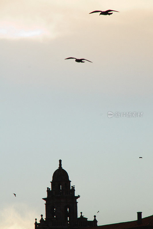 Church baroque bell tower and seagulls flying in A Coruña city, Galicia, Spain